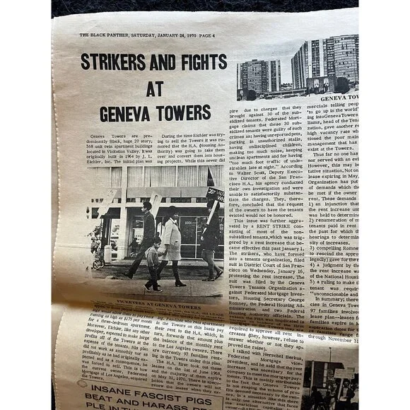 1971 Affordable Housing Black Panther Political Party, Black Excellence, Civil